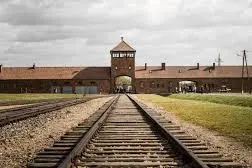 Giorno della Memoria, il Cine Club della Biblioteca propone il film di Taika Waititi