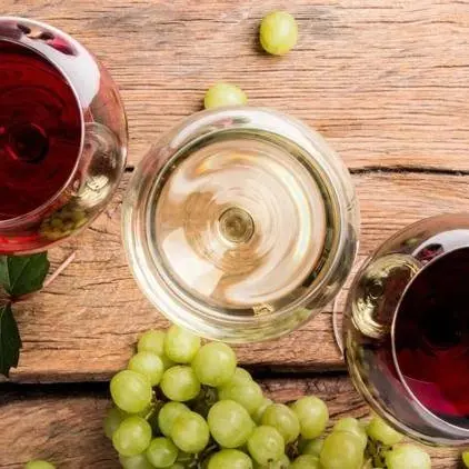 Dalla Pisana 1,8mln per gli imprenditori vitivinicoli