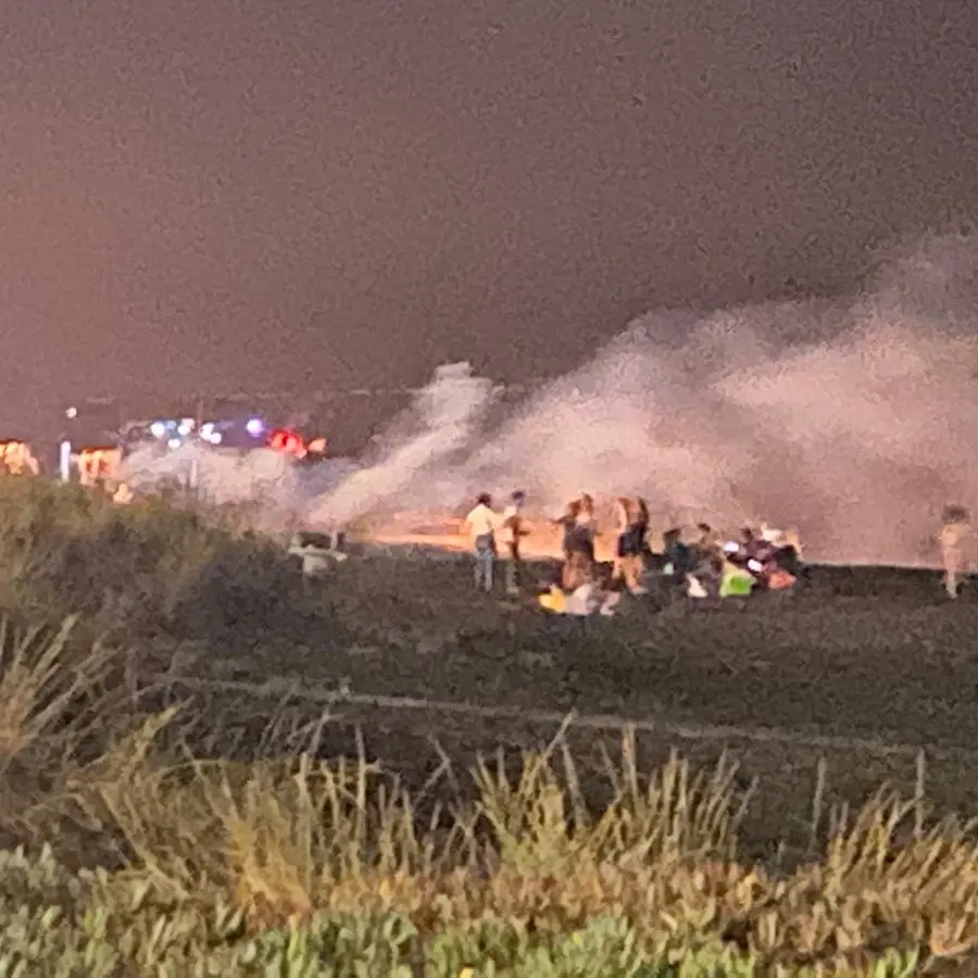 Contro i vandali e i falò scatta l’ordinanza: «Tuteleremo la palude di Torre Flavia»