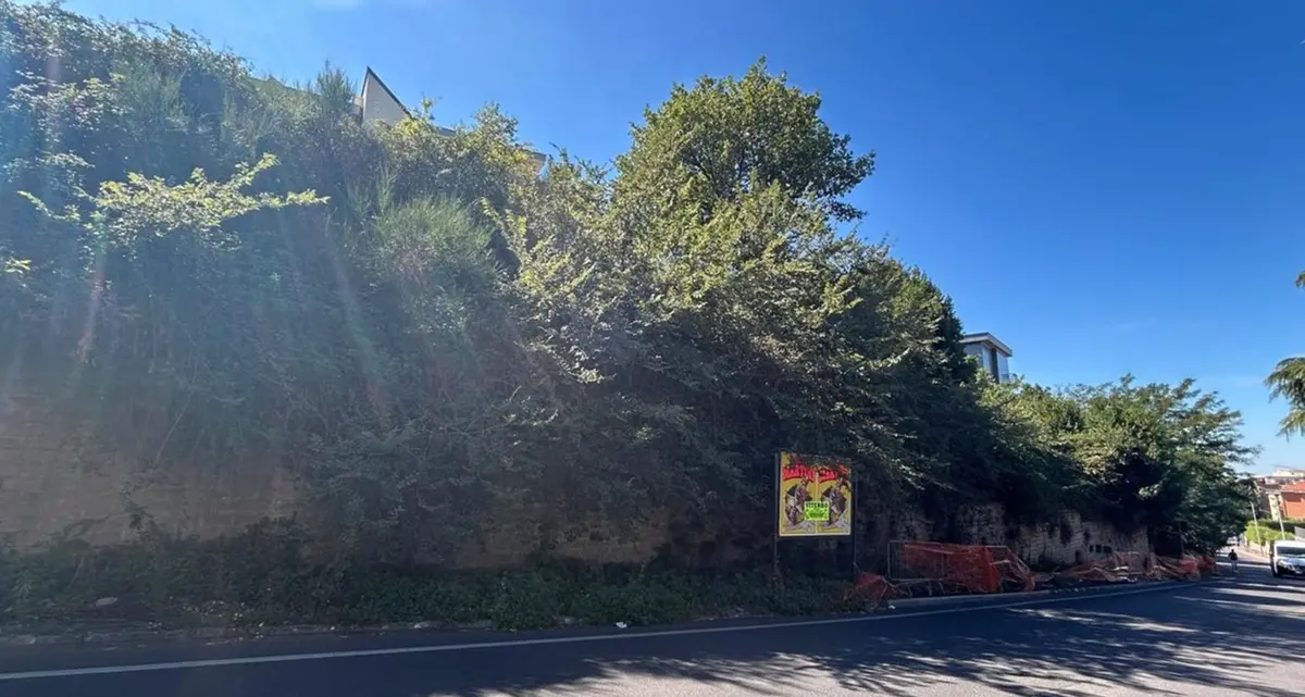 Viterbo: via della Pila, 60 giorni ai privati per mettere in sicurezza il muro