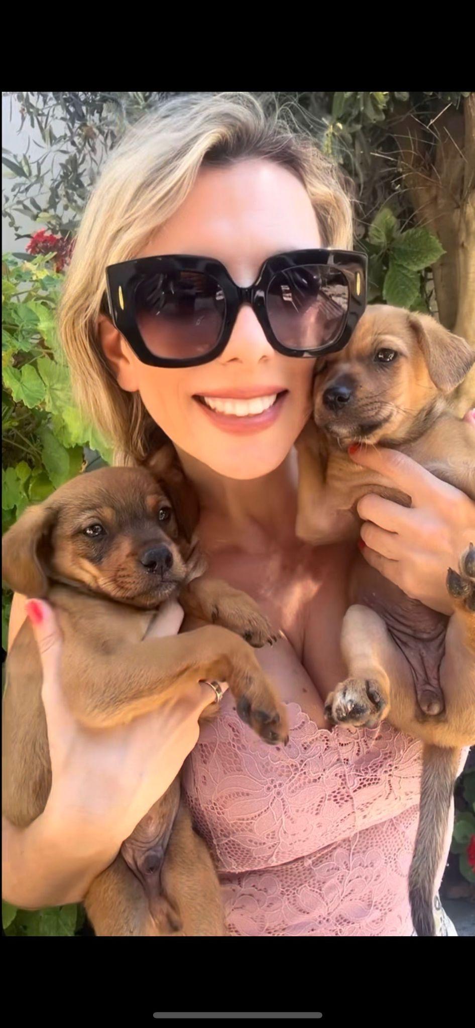 2B0F8FFC-4159-4522-8901-C9E994627B27