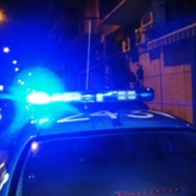 Droga, armi e soldi: blitz con doppio arresto