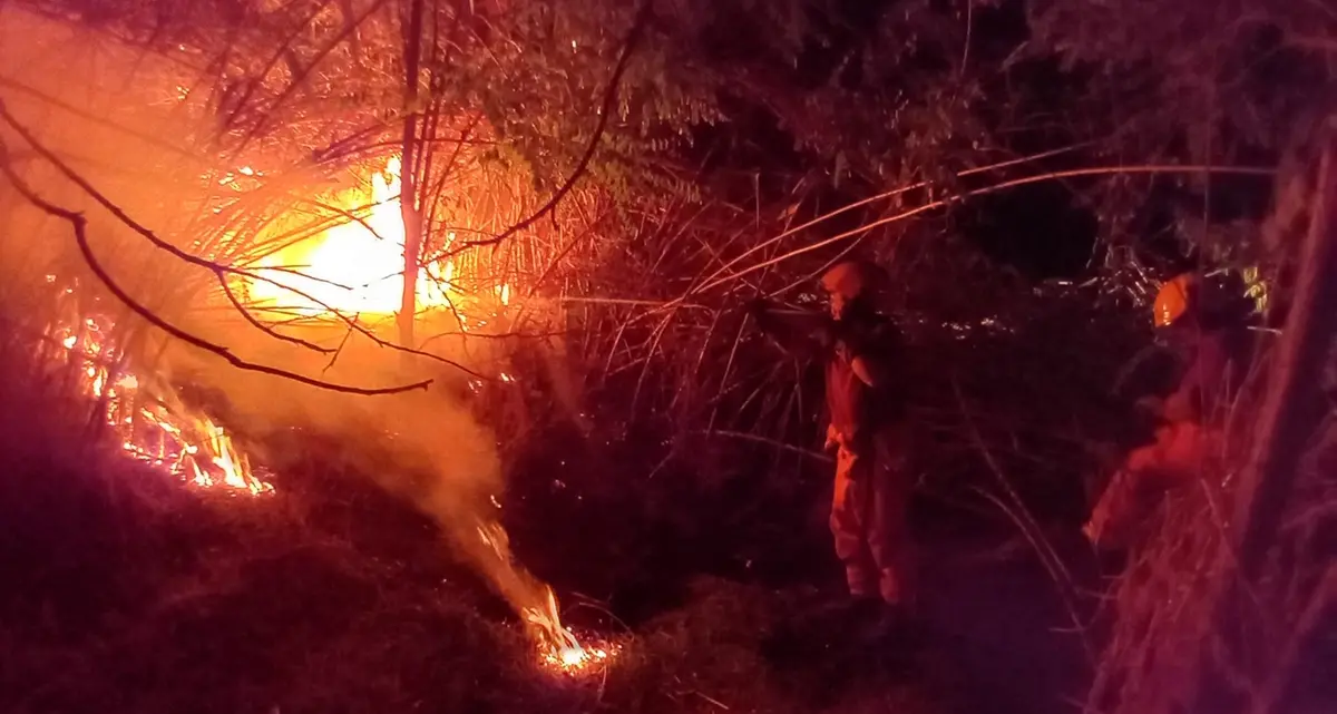 Incendio nelle campagne dell’Ancarano, in fiamme canneti e sterpaglie