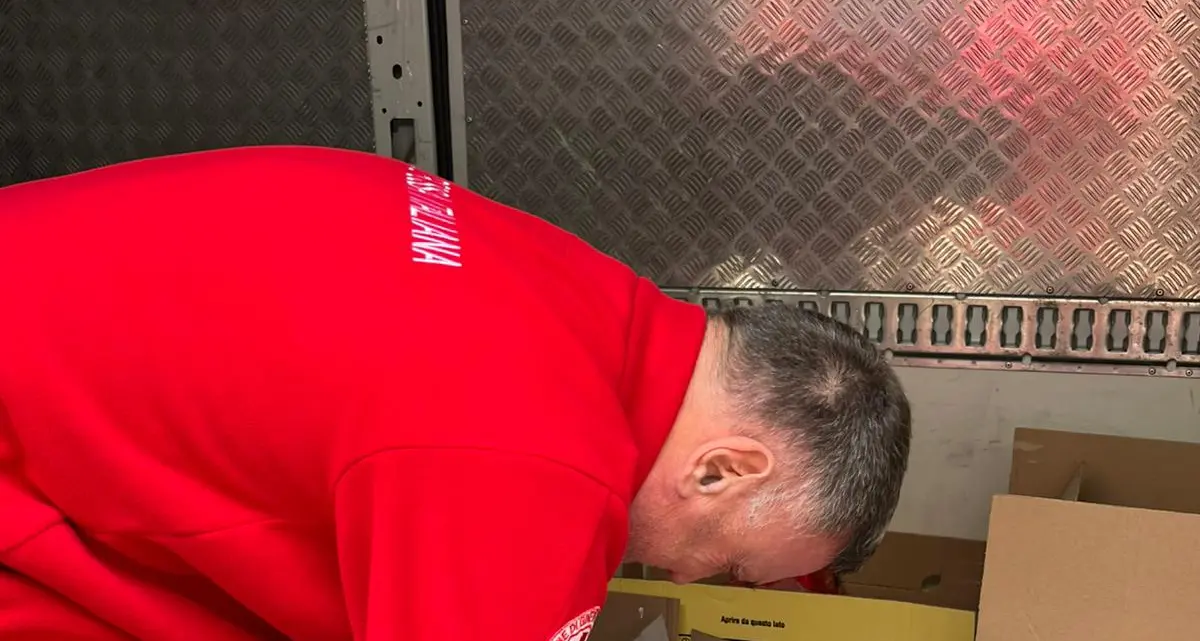 Ondata di solidarietà a Cerveteri