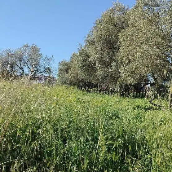 «Degrado alla scuola dell’Infanzia di Santa Barbara»
