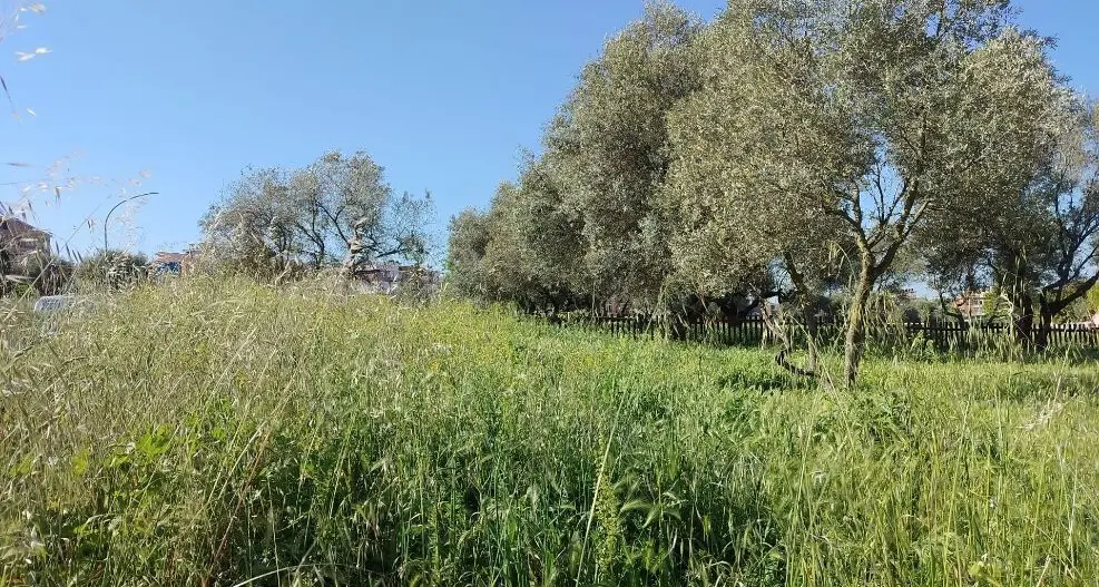 «Degrado alla scuola dell’Infanzia di Santa Barbara»