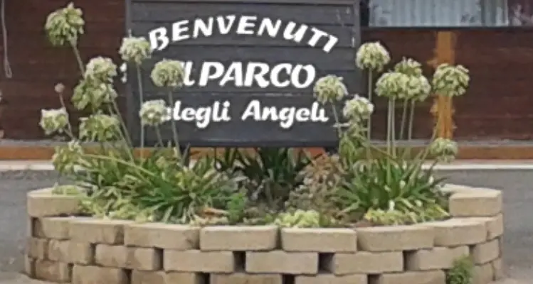 Al parco degli Angeli “Friendly Reality”