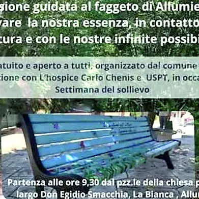 “Passeggiata del sollievo” ad Allumiere: escursione guidata al Faggeto per ritrovare il benessere