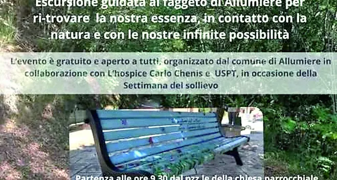 “Passeggiata del sollievo” ad Allumiere: escursione guidata al Faggeto per ritrovare il benessere