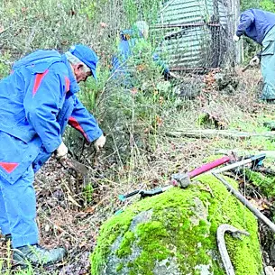 Tolfa, smantellato un canile abusivo e ripulito il tempietto etrusco