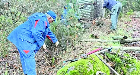 Tolfa, smantellato un canile abusivo e ripulito il tempietto etrusco
