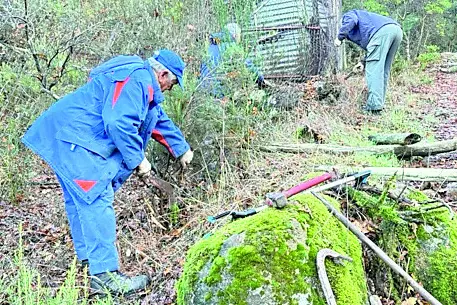 Tolfa, smantellato un canile abusivo e ripulito il tempietto etrusco