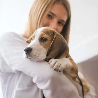 Patentino per i proprietari di cani, via alla seconda giornata