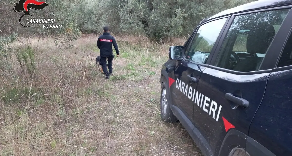 Maxi operazione antidroga: arrestato un 38enne e perquisite 12 case