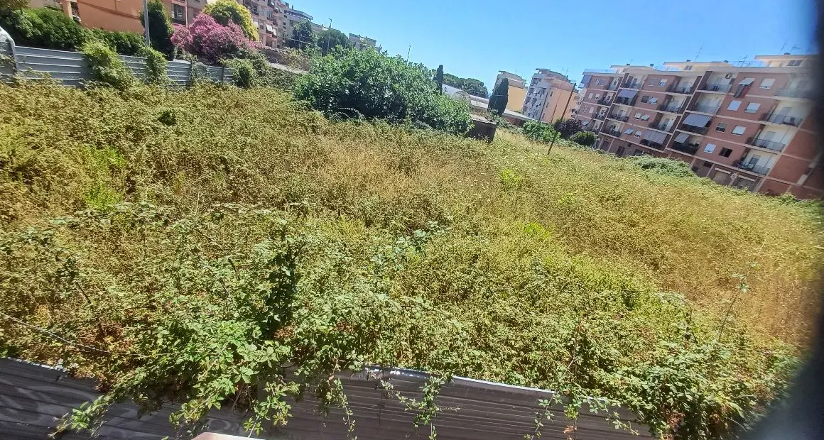 Campo dell’Oro, i residenti alzano la voce: «Strade dissestate e terreni abbandonati»