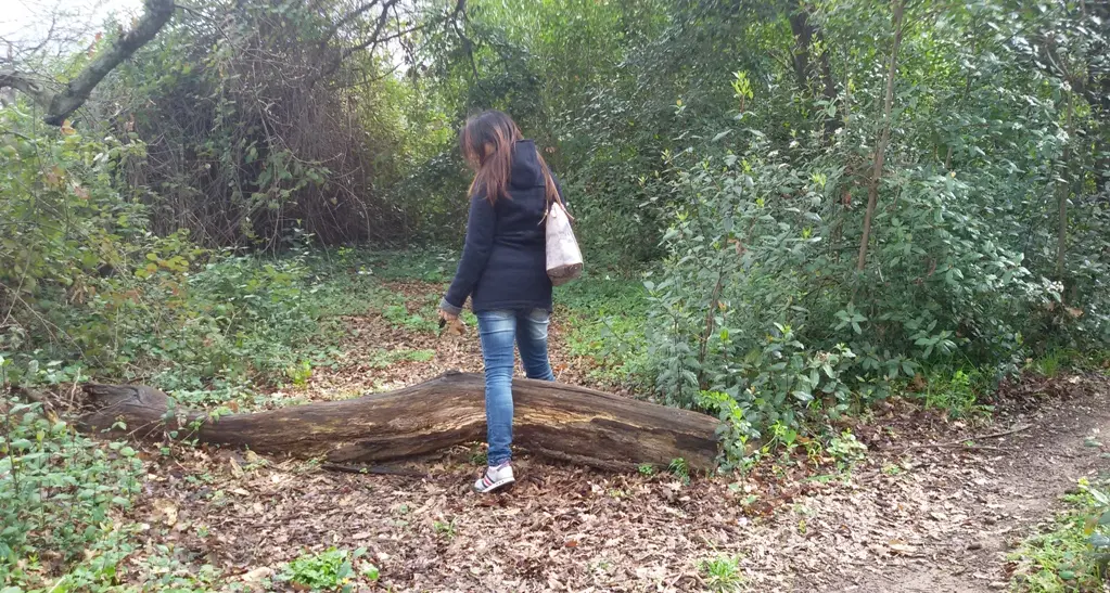 Nati per leggere “trasloca” al Bosco di Palo
