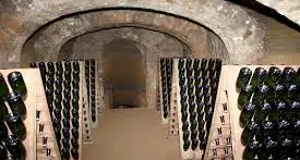 “Nelle Terre del Grechetto” al via