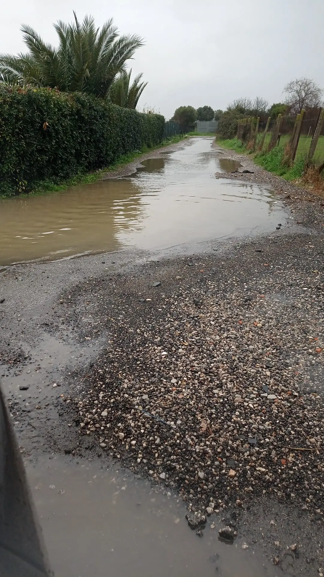 «Costretti a vivere ogni giorno tra buche fango e rifiuti»