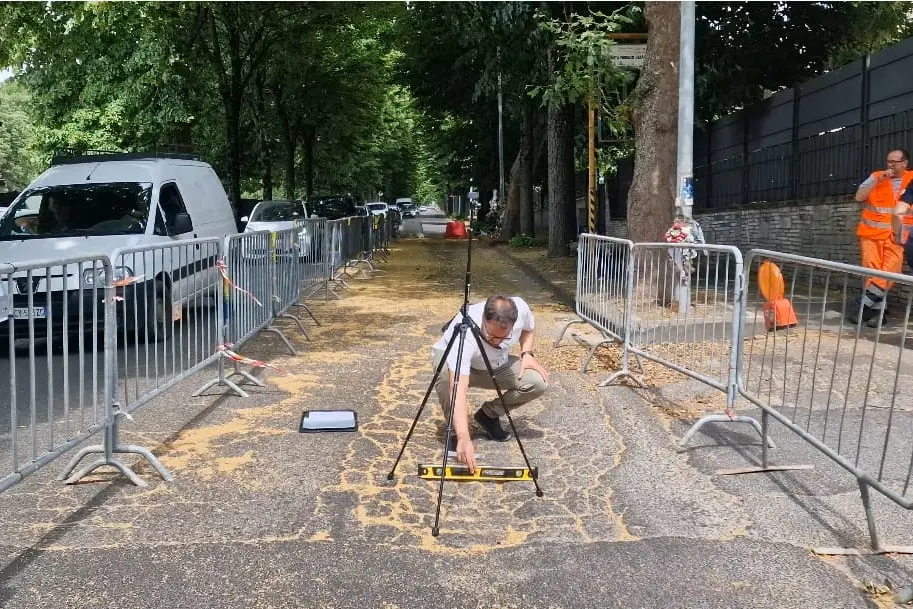 Viale Trieste, Floris: «Riapertura totale entro ottobre»