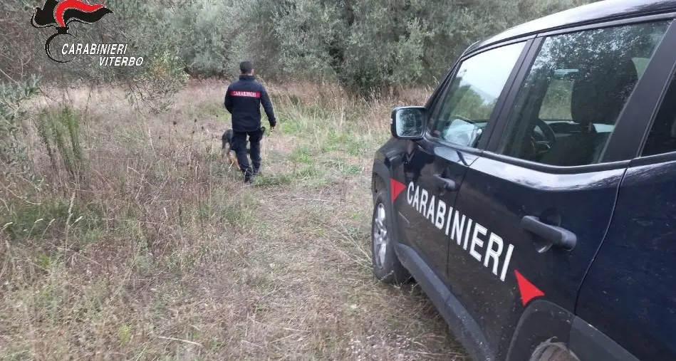 Spaccio di droga nei boschi: sette arresti e sei fogli di via