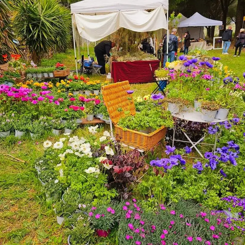 Torna l’appuntamento con Terme in fiore