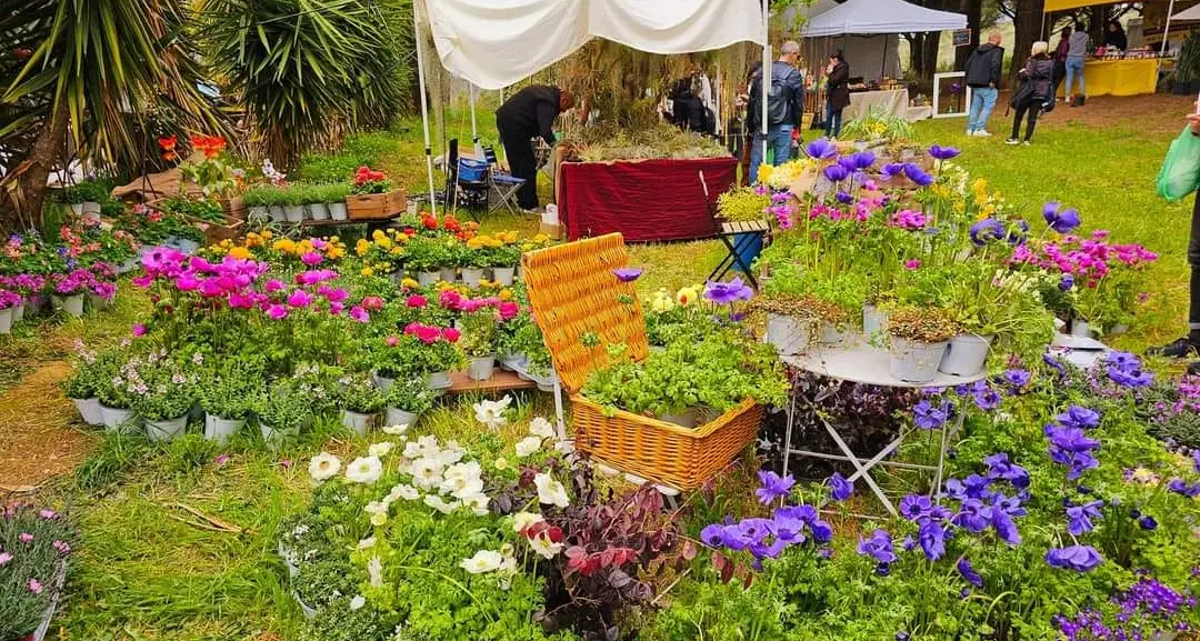 Torna l’appuntamento con Terme in fiore