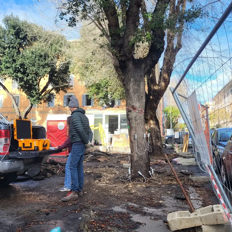 Lecci del mercato, “nuova perizia” ma stesso tecnico: monta la polemica