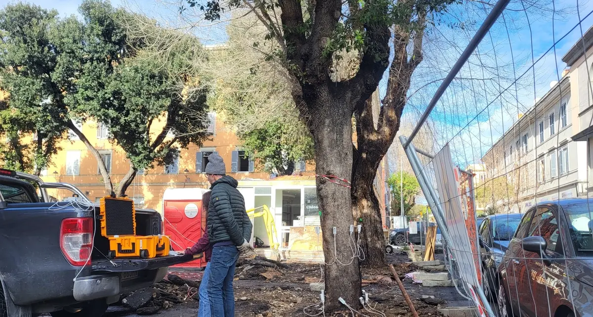 Lecci del mercato, “nuova perizia” ma stesso tecnico: monta la polemica