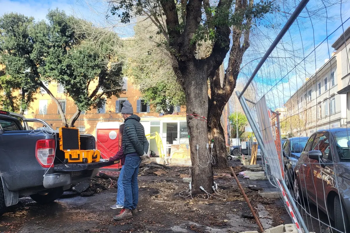 Lecci del mercato, “nuova perizia” ma stesso tecnico: monta la polemica