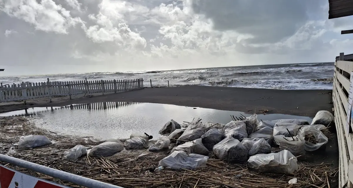 Spiagge sparite, le onde arrivano in strada. Canne e tronchi sulla riva