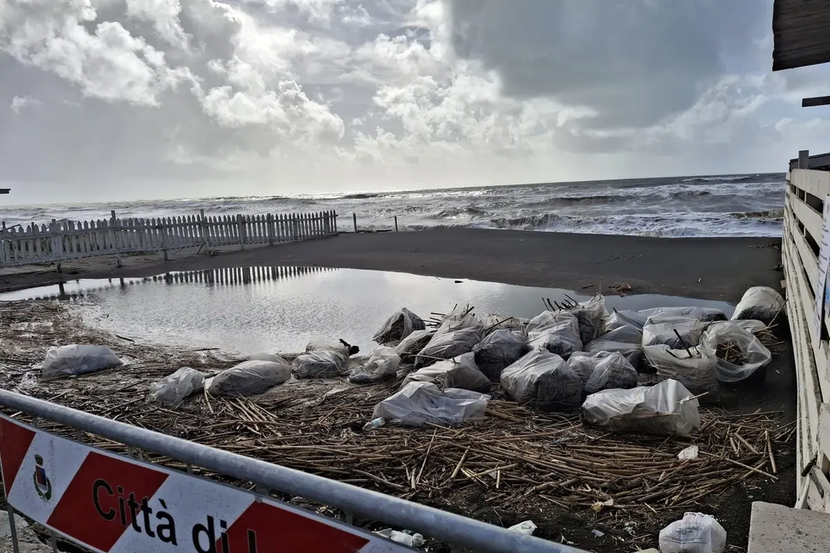 Spiagge sparite, le onde arrivano in strada. Canne e tronchi sulla riva