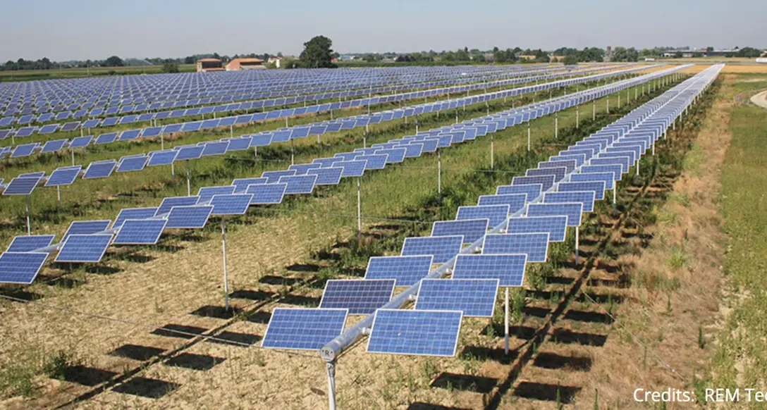 Agrivoltaico a Pian D’Organo: il Tar dà ragione alla Sun Legacy