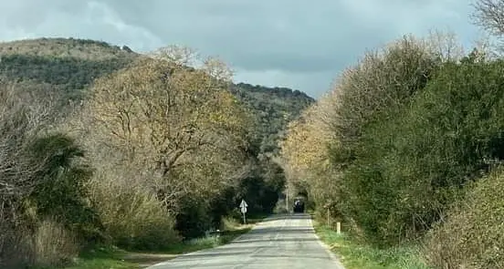 Riaperta la strada provinciale 3B Santa Severa-Tolfa