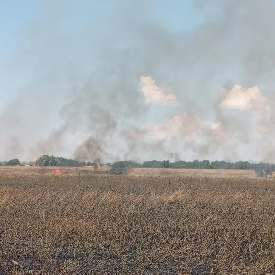 Vasto incendio al Poligono militare di Tarquinia: intervento di Vigili del fuoco e volontari Aeopc