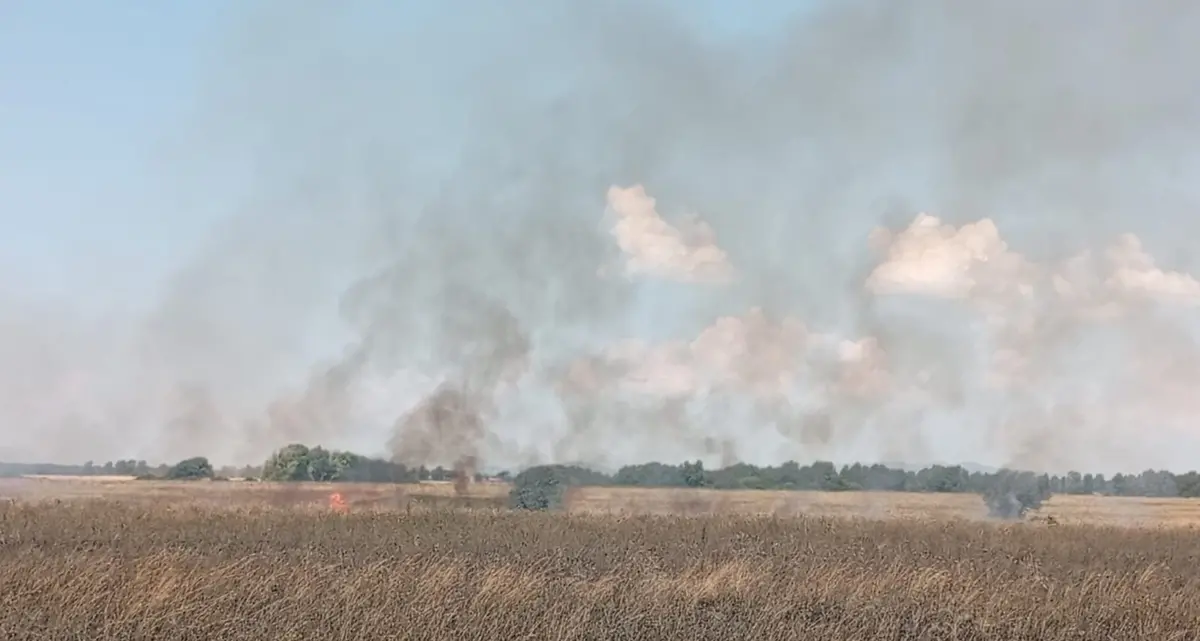 Vasto incendio al Poligono militare di Tarquinia: intervento di Vigili del fuoco e volontari Aeopc