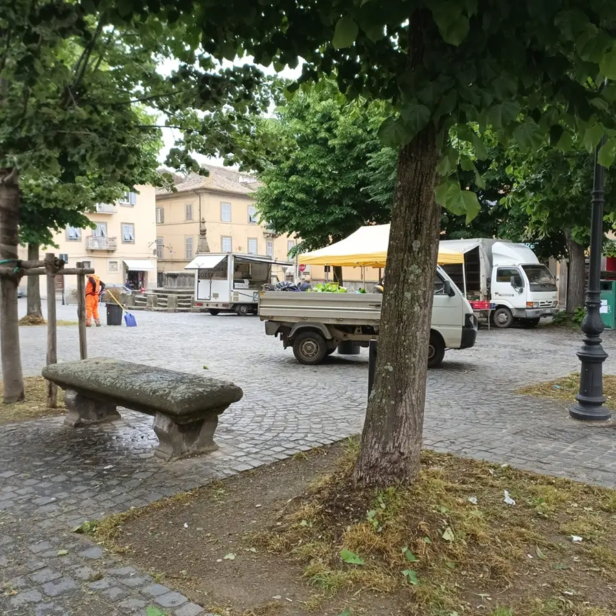 A Viterbo sfalcio dell’erba a orologeria