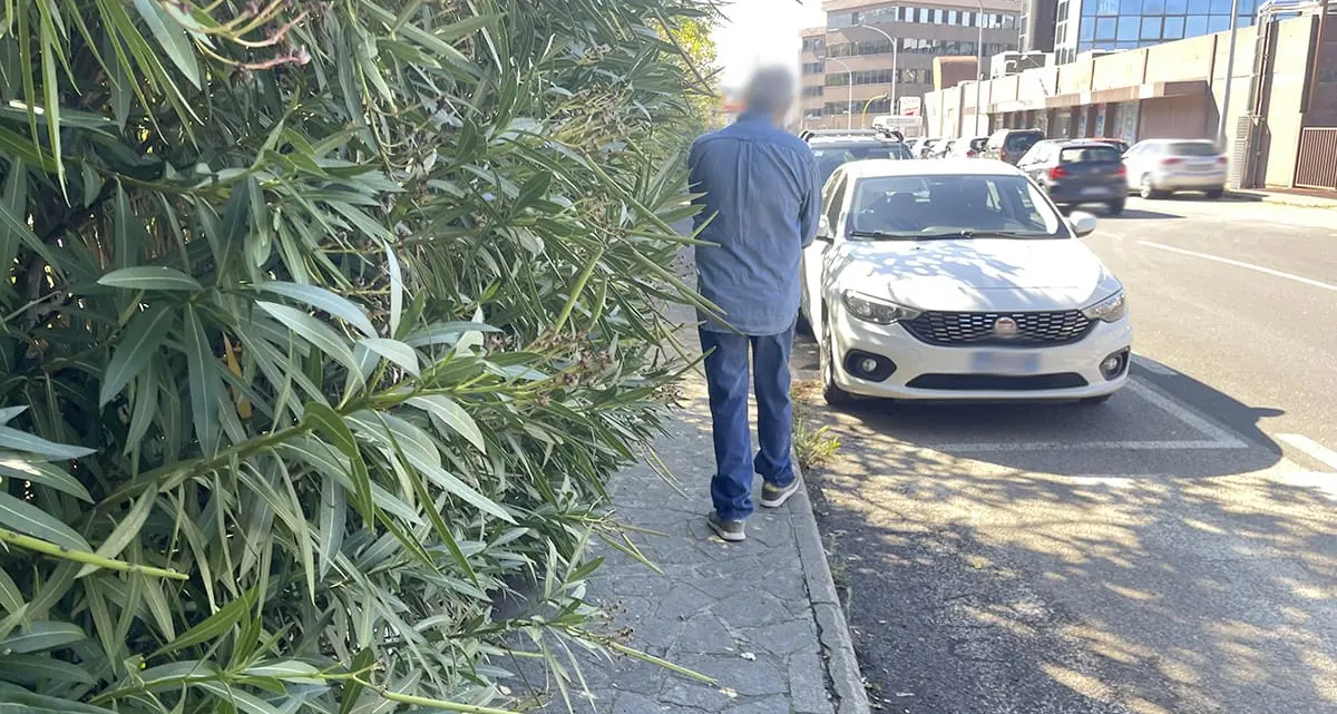 «Viale Romiti nel degrado, situazione inaccettabile»