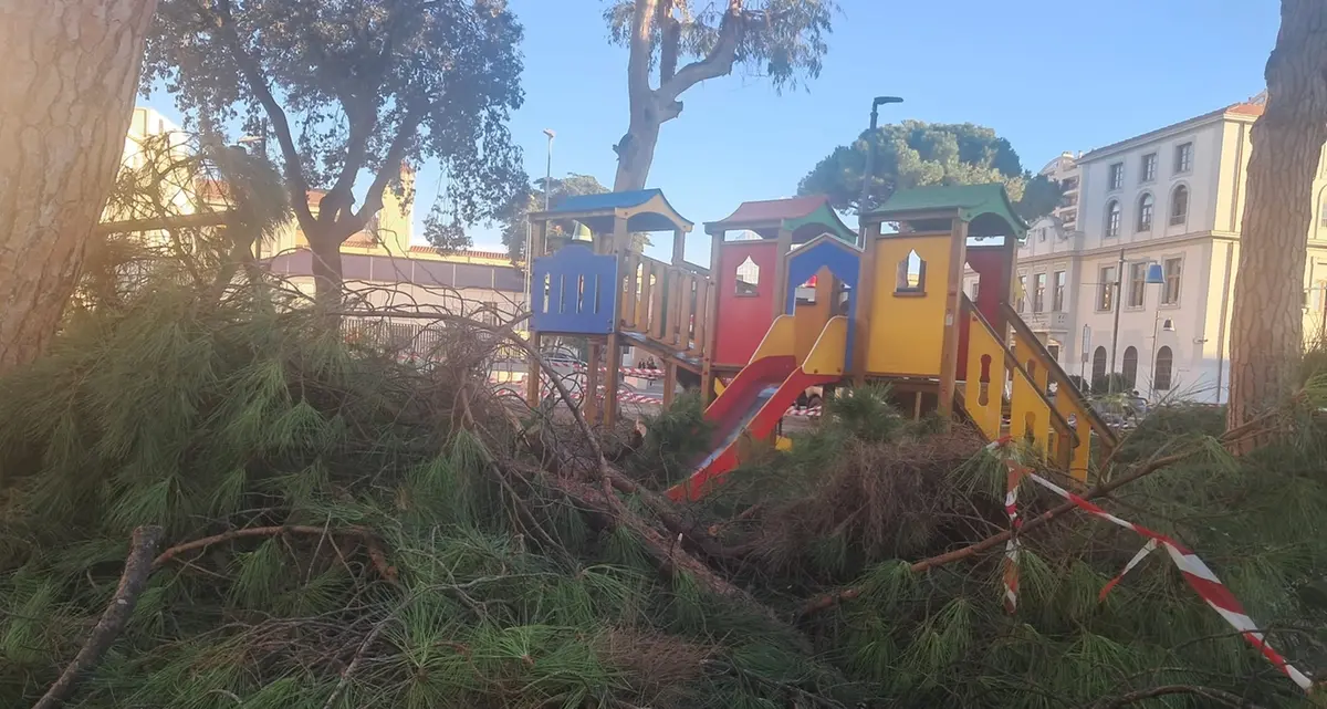 Potature senza preavviso: bambini a casa
