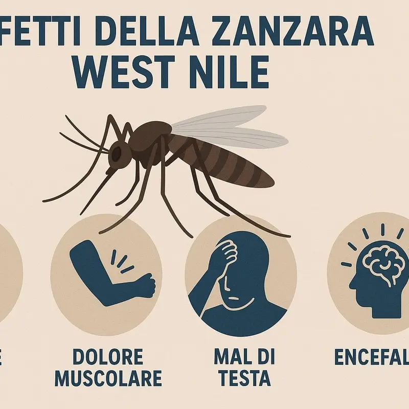 Virus West Nile, due nuovi casi con un decesso nel Lazio