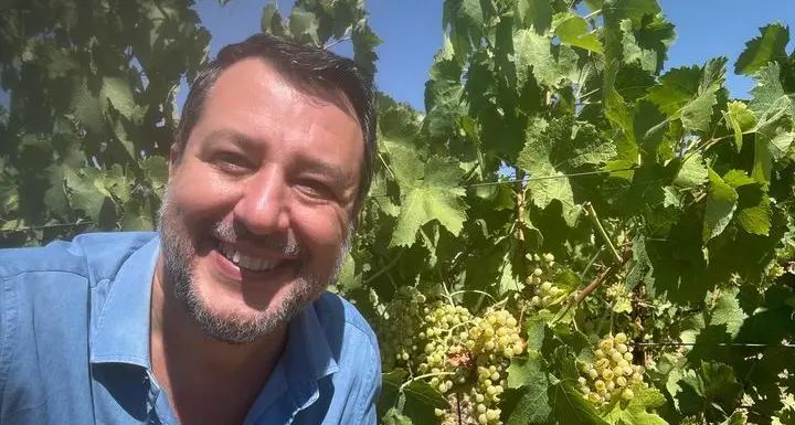 Matteo Salvini: «Buona domenica dalle vigne di Cerveteri»