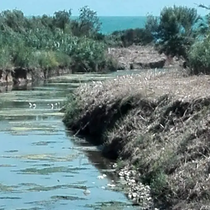 Santa Marinella, il Comitato “2 ottobre” scrive alla commissaria prefettizia