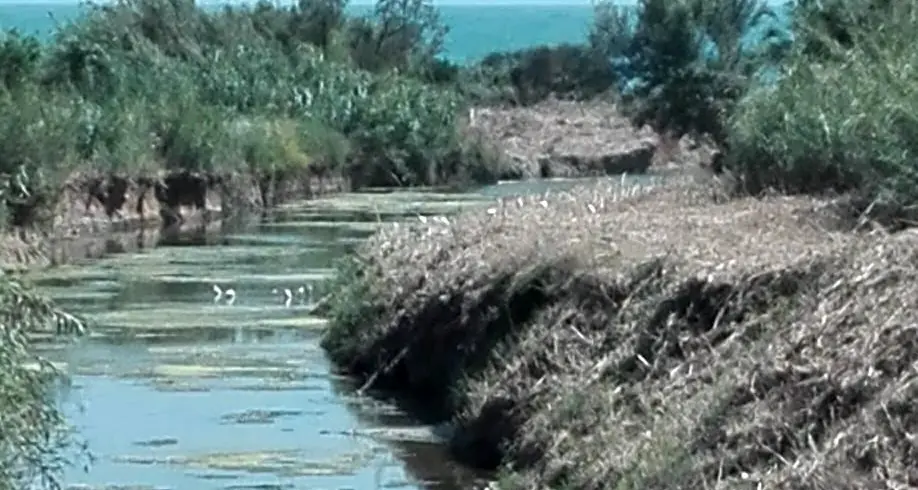 Santa Marinella, il Comitato “2 ottobre” scrive alla commissaria prefettizia