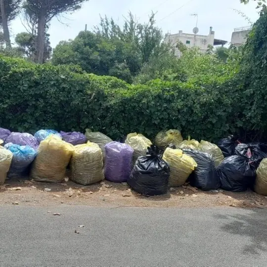 Rifiuti Santa Marinella, basta una foto per denunciare chi sporca