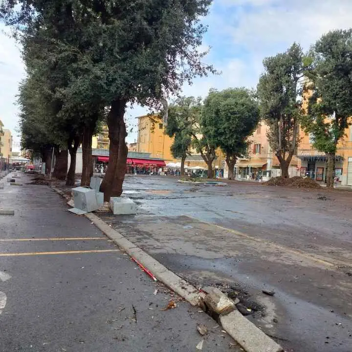 Perizie sugli alberi, il M5S critico