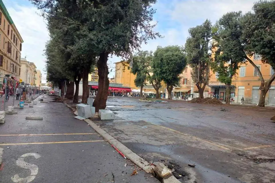 Perizie sugli alberi, il M5S critico