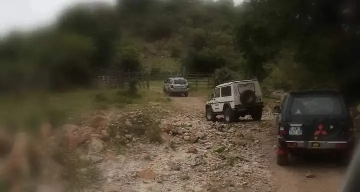 Si perde nel bosco di Allumiere mentre cerca i funghi: 65enne ritrovato dai vigili del fuoco