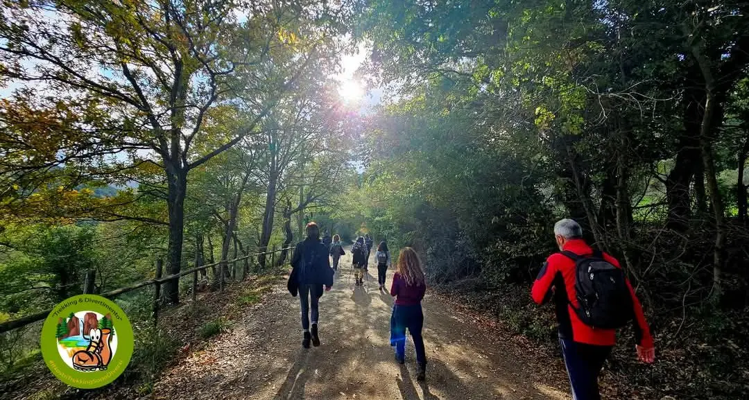 Sul cammino dei minatori percorrendo il sentiero viola