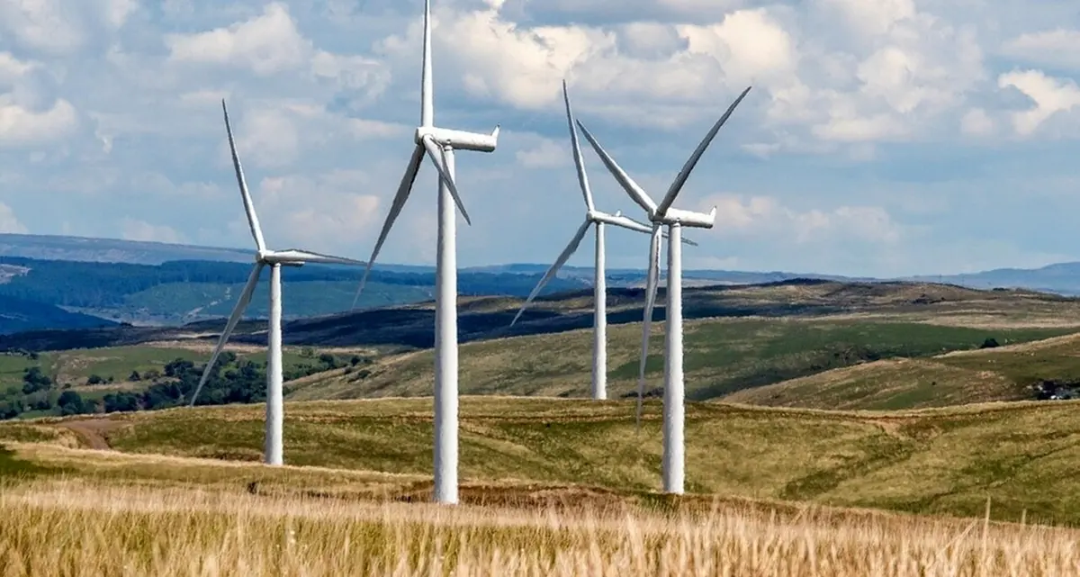 Mega impianto eolico a Montalto, il Tar dà ragione alla Provincia