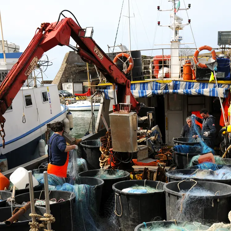 Cinque giorni in mare e stop ai tagli per il 2026: i pescatori tornano a respirare