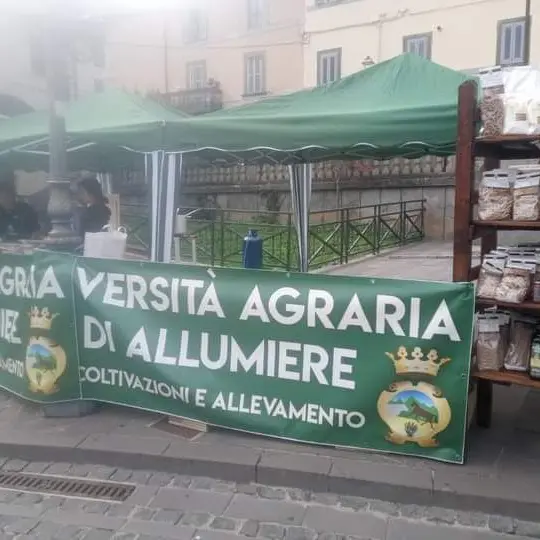 L’Università Agraria di Allumiere protagonista alla 127ª Fieracavalli di Verona: il Cavallo Tolfetano porta in alto il territorio